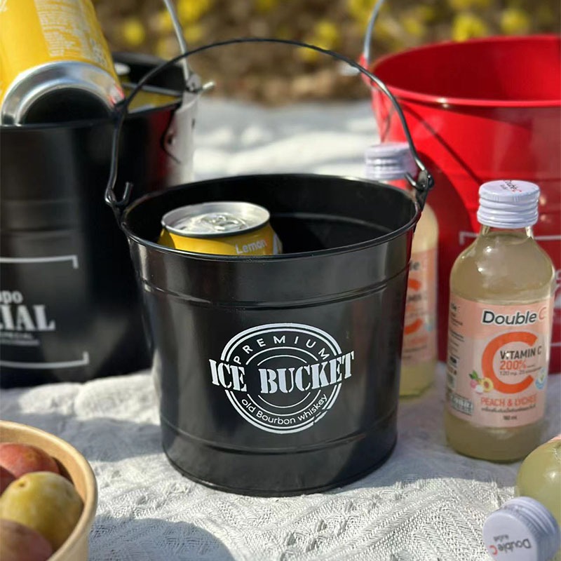 دلو ثلج حديد للمشروبات والبيرة - مراجعة Ice Bucket Silver وسعره